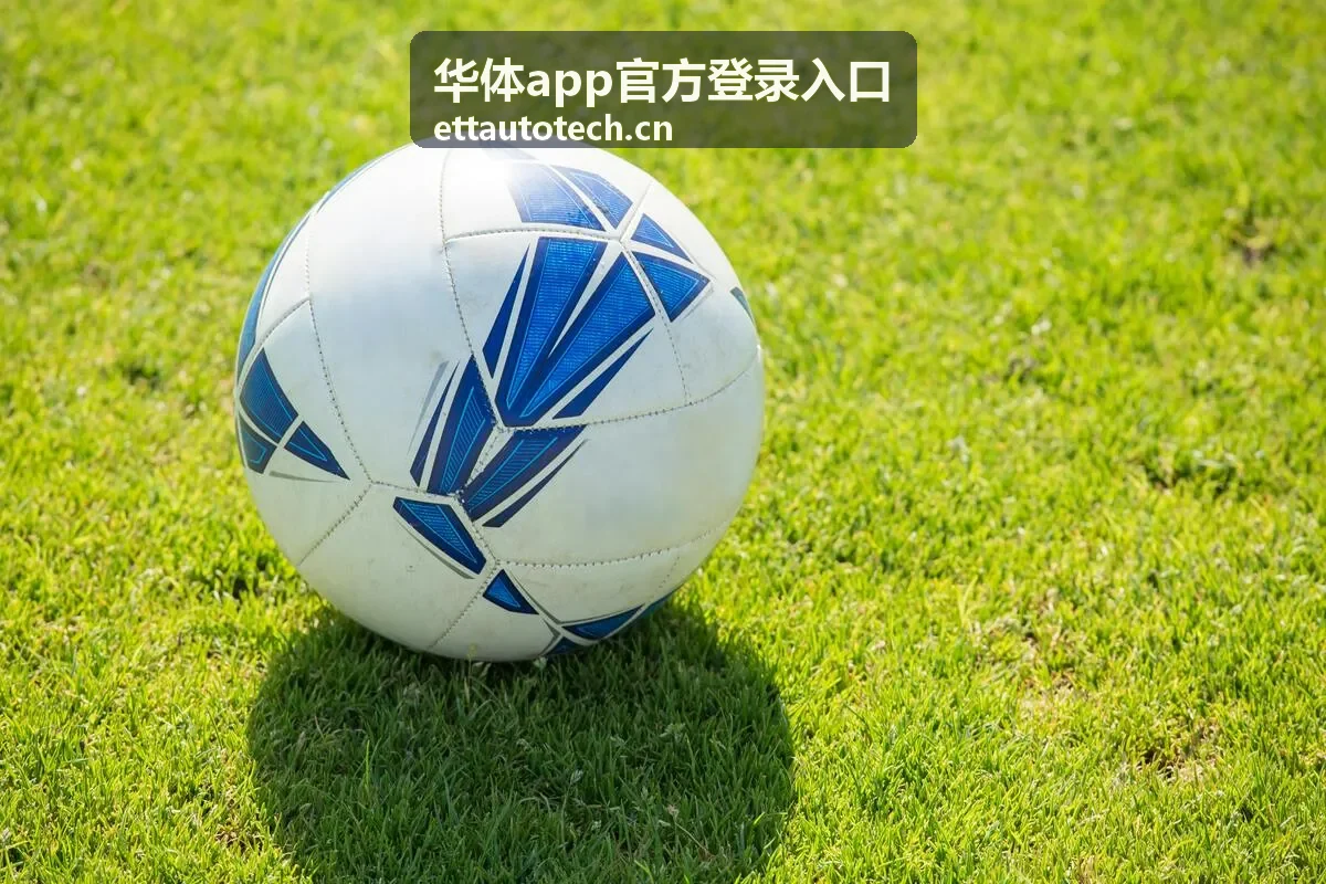 华体app官方登录入口数据面板查看界面示意